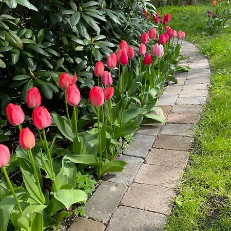 홈스테이 Solyst *