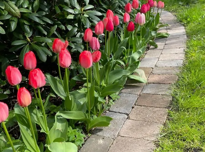 Ubytování v soukromí Solyst *